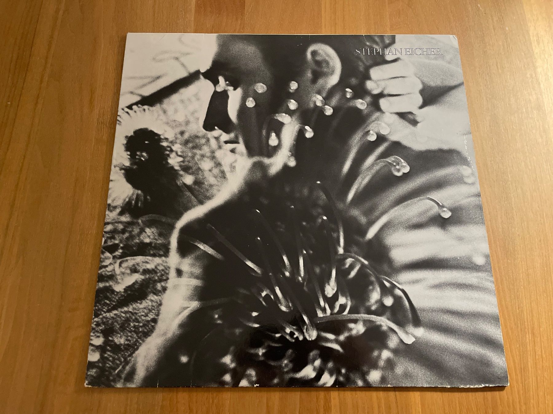 Dischi in vinile: STEPHAN EICHER: STEPHAN EICHER (LP)*SWISS SYNTH-POP*WAVE – Usato da Herrliberg venduto da Divinyl