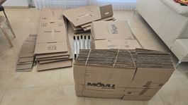 Umzugskisten, Zügelbox, Kleiderbox 65 Stück