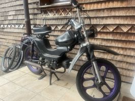 Pony 521 Cross 