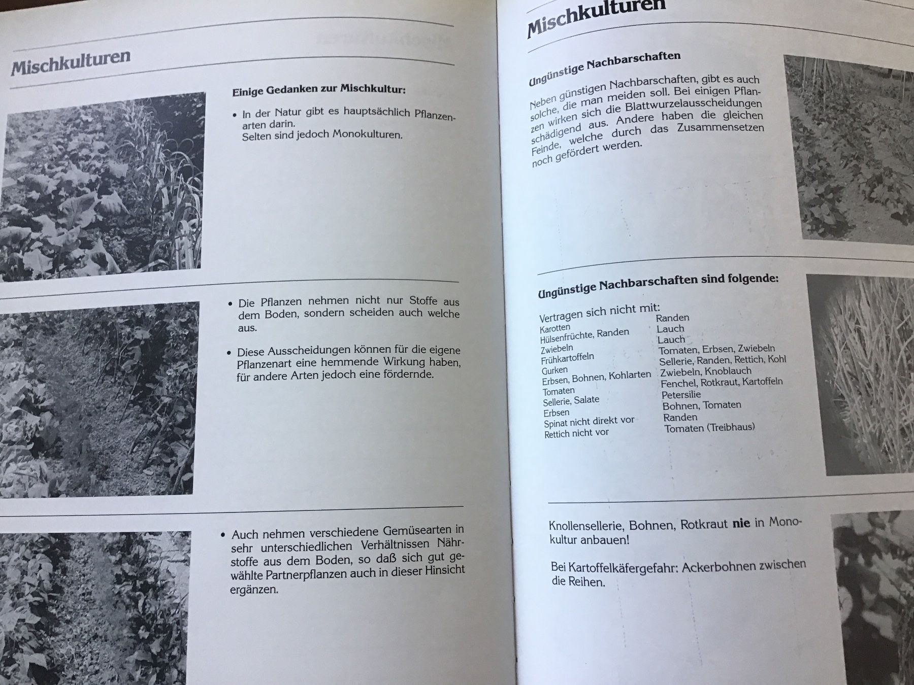 Libri: Freude und Erfolg im Biogarten – Usato da Kirchenthurnen venduto da Gluecksbrief 9
