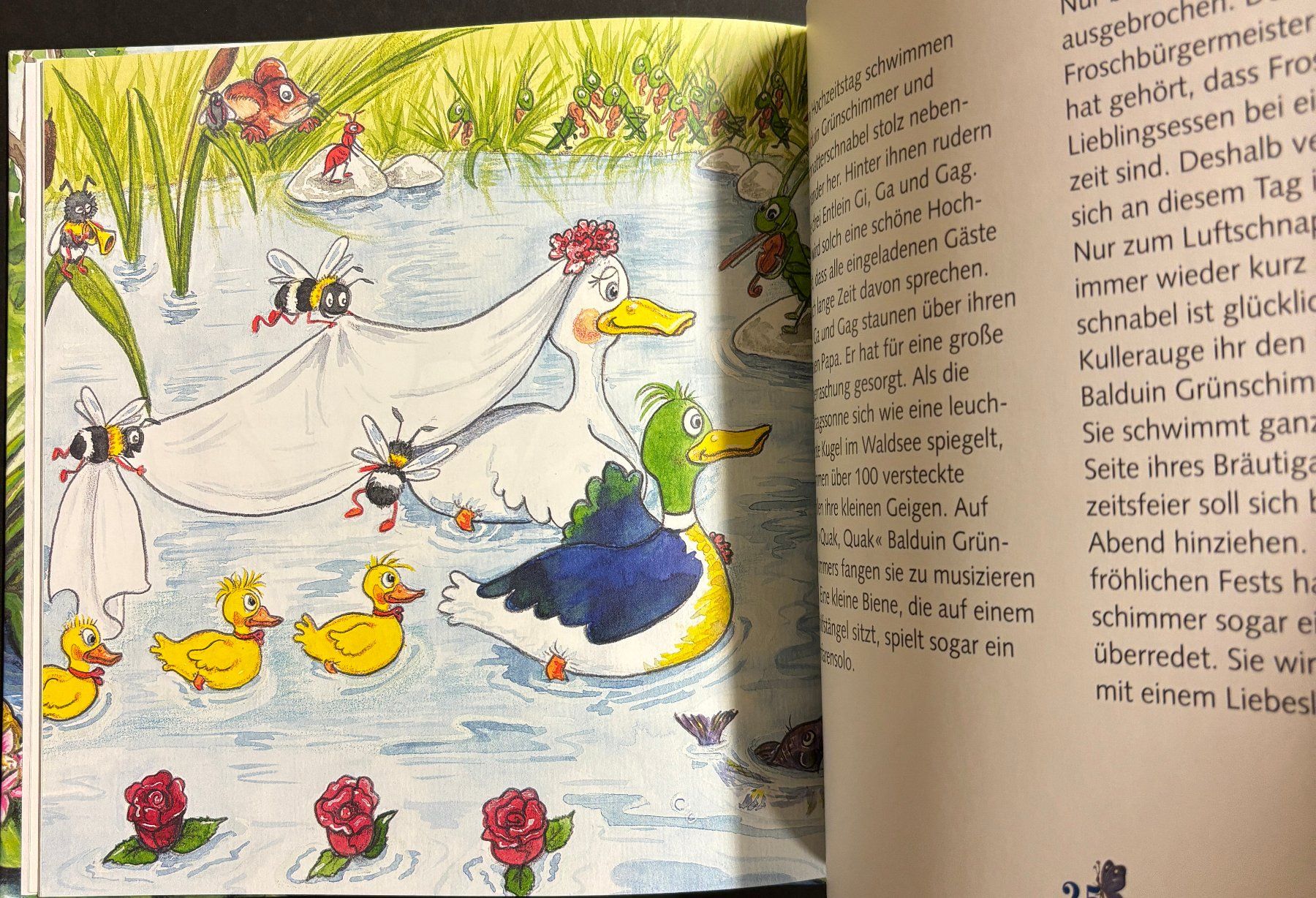 Libri: Kullerauge und Schnatterschnabel – Nuovo (secondo la descrizione) da Sarnen venduto da Livres 3