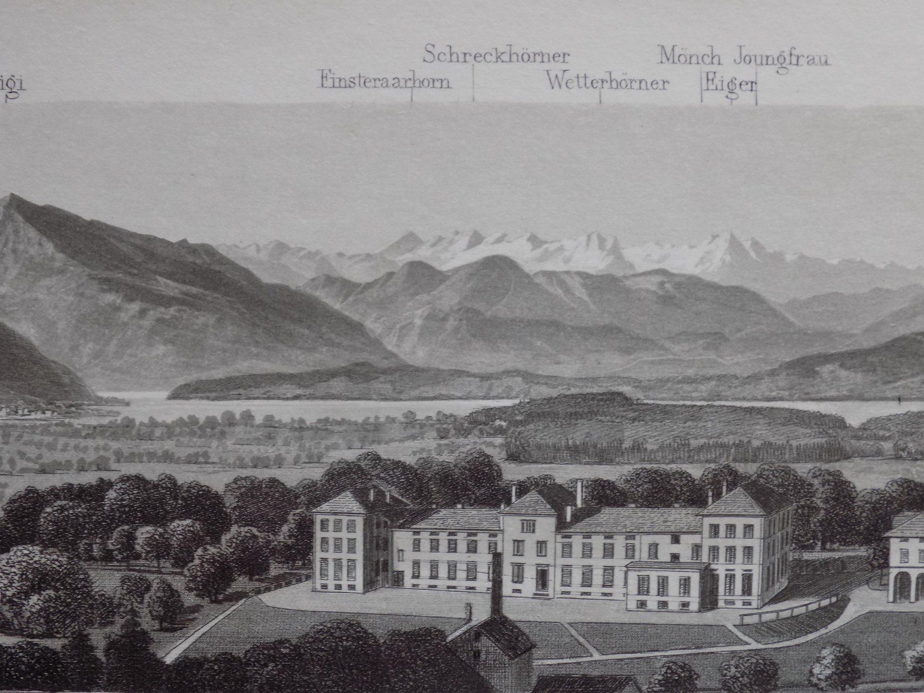 Incisioni: Albisbrunn Zürich – Usato da Risch venduto da Rischli15 4