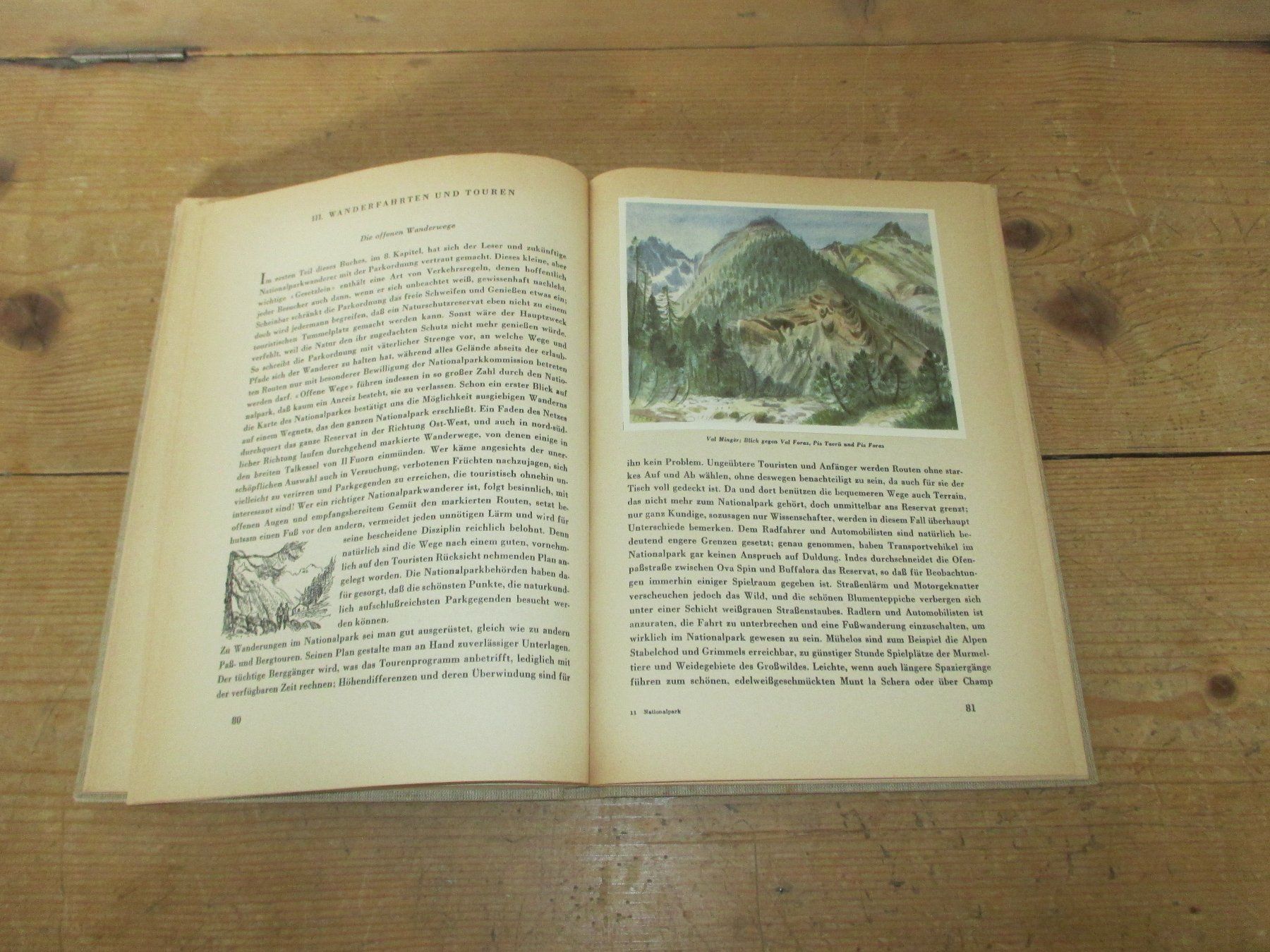 Libri: Der Schweizerische Nationalpark 1949 – Usato da Flims - Dorf venduto da Stagediver 9