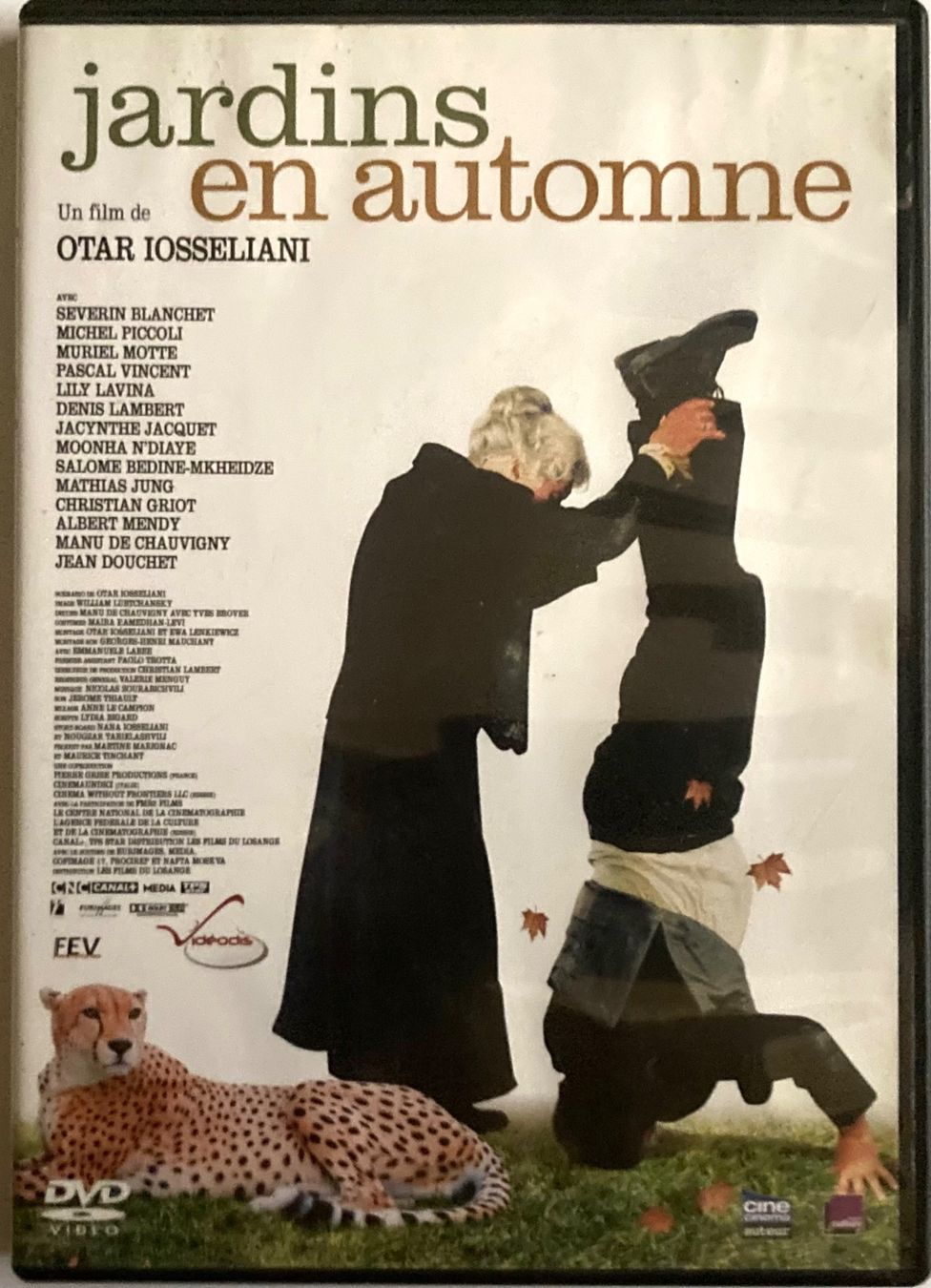 Tutti i DVDs: JARDIN EN 'AUTOMNE – Usato da Poliez-Pittet venduto da Newtown-Records