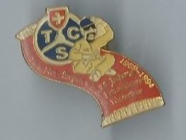 TCS  Pin