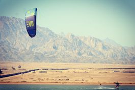 North EVO Kite, Grösse 12