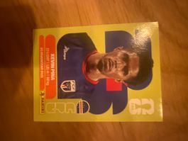 Panini
