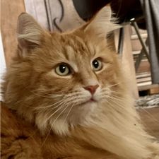 Profile image of Keki72