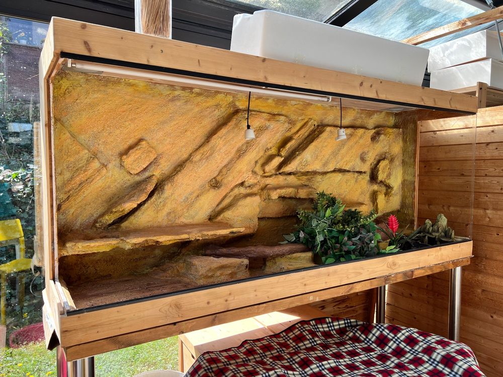 Preissenkung Grosses Terrarium für Geckos mit ProfiRückwand Kaufen auf Ricardo