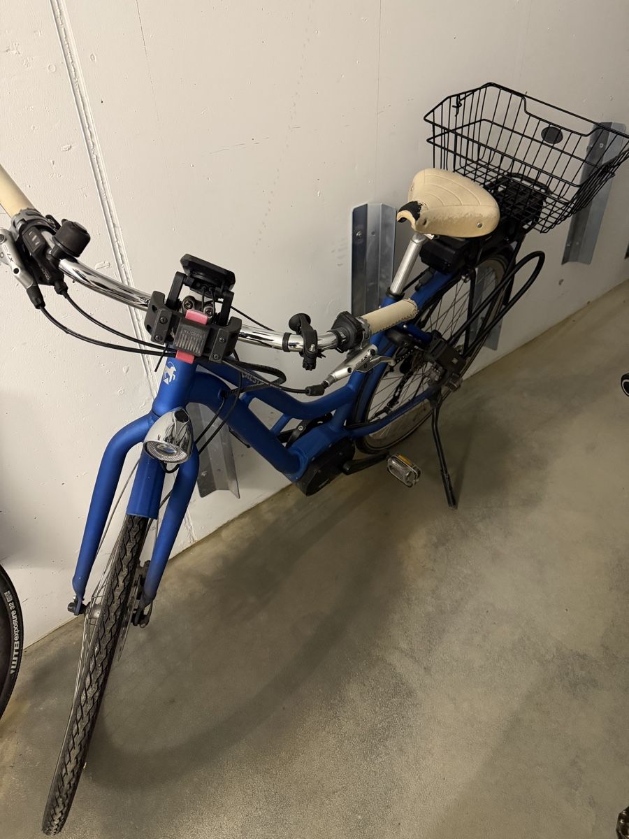 Cresta Biciclette: Cresta Damenvelo – Usato da Zürich venduto da and_fpn2 1