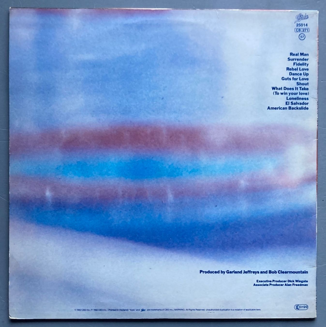 Dischi in vinile: GARLAND JEFFREYS - GUTS FOR LOVE – Usato da Poliez-Pittet venduto da Newtown-Records 1