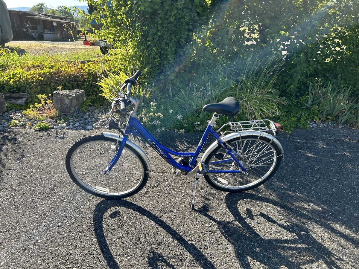 Biciclette: Damen Fahrrad – Usato da arch venduto da Amaga 2