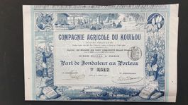 Compagnie agricole du Kouilou (Congo). 1900.