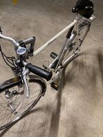 Herren-Fahrrad Alpina-Sport