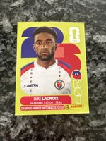 Panini Wm 2026 Hai 7