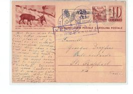 CH Ganzsache BPK PK 161 Bern Tierpark o 1943  Zensur Italien