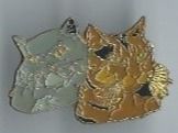 katzen PIN
