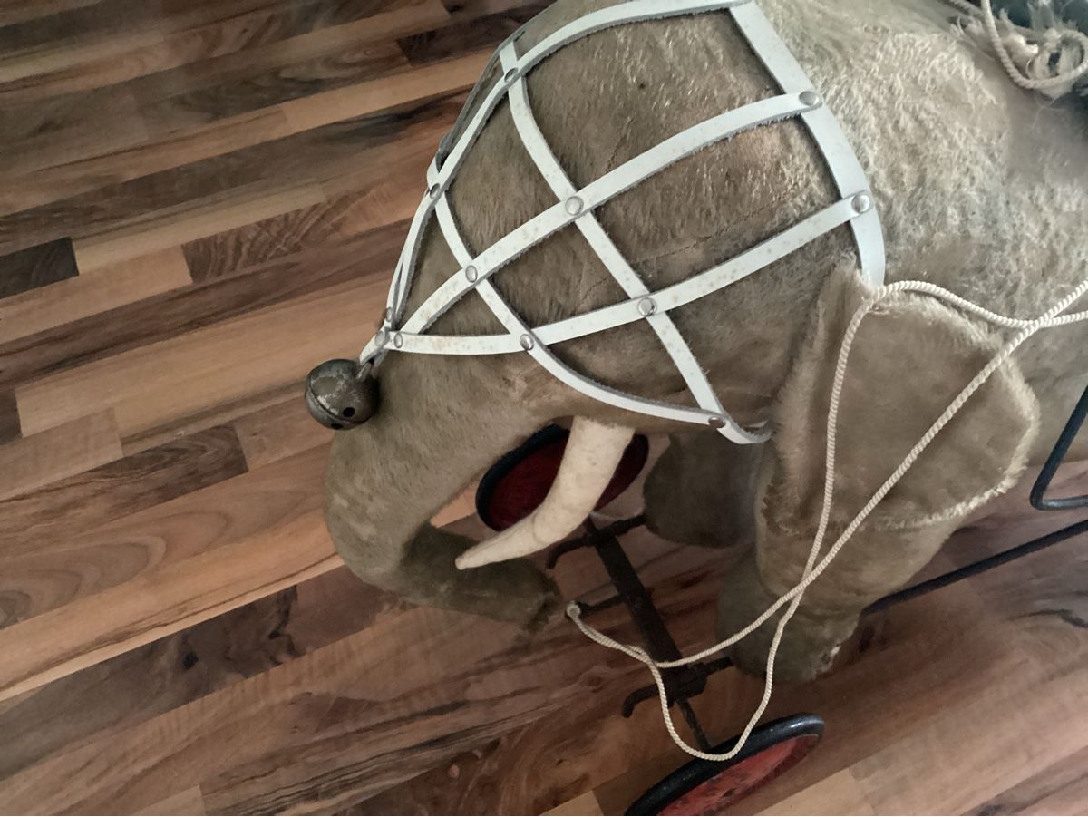 Steiff Giocattoli: ALTER STEIFF ELEFANT AUF RÄDER UM 1920/30 – Usato da Münchenstein venduto da NoSu98 7