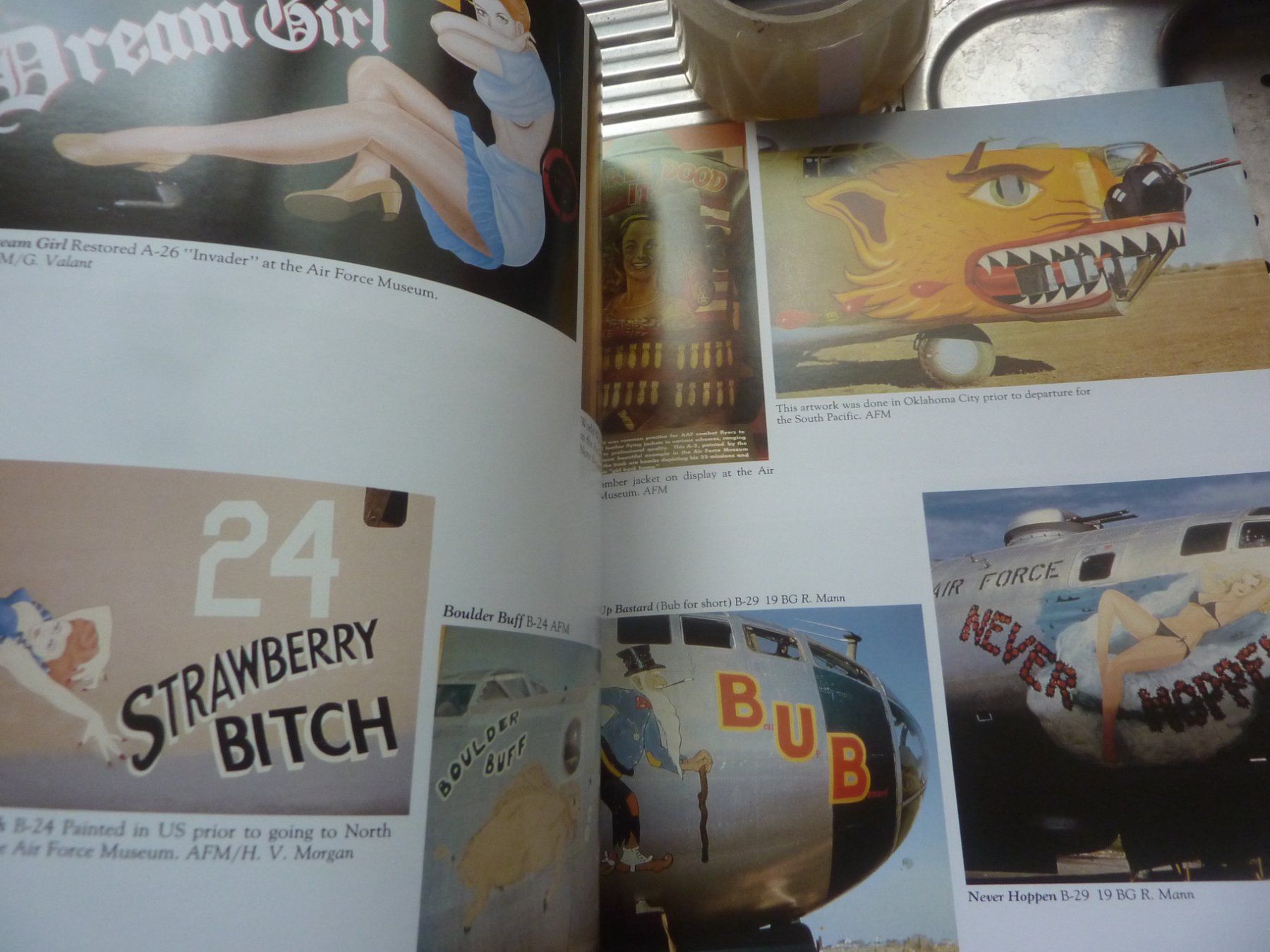 Livres: NOSE ART – Neuf avec emballage d'origine à Balsthal par bouteliee 1