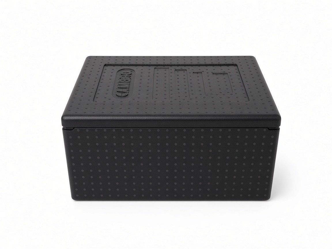 Baucontainer: Conteneur de transport Cambro – Gebraucht aus Préverenges von vin_krx5 3