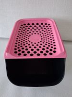 Tupperware OnionSmart