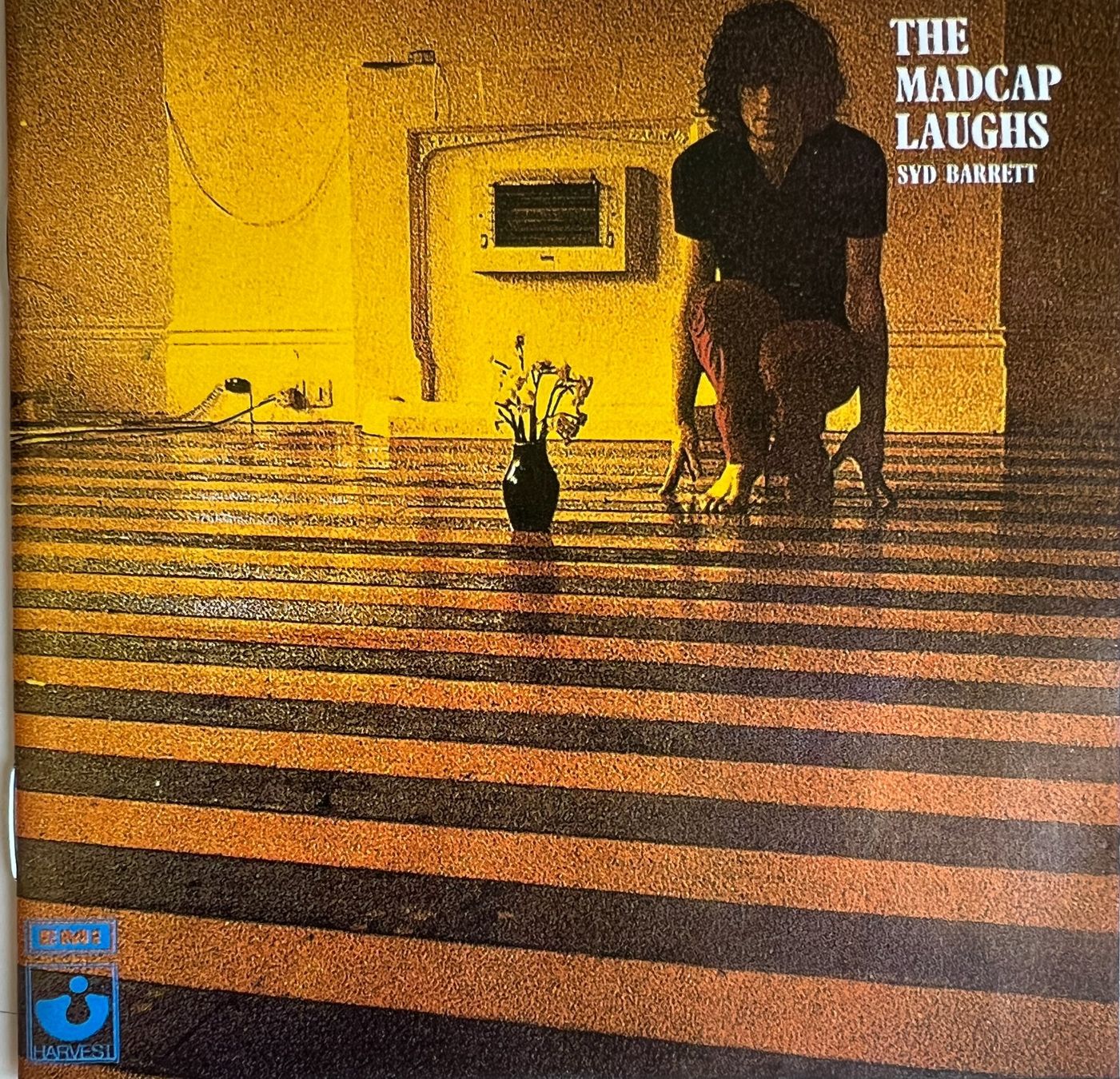 CD: SYD BARRETT /  The Madcap Laughs – Usato da Bischofszell venduto da kustavi