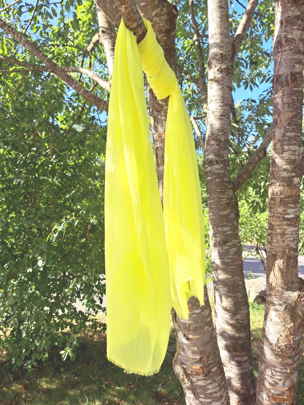 Foulards, Tücher & Schals: Sommerlicher Schal– Leicht & Luftig – Neu und originalverpackt aus Ostermundigen von sedel_
