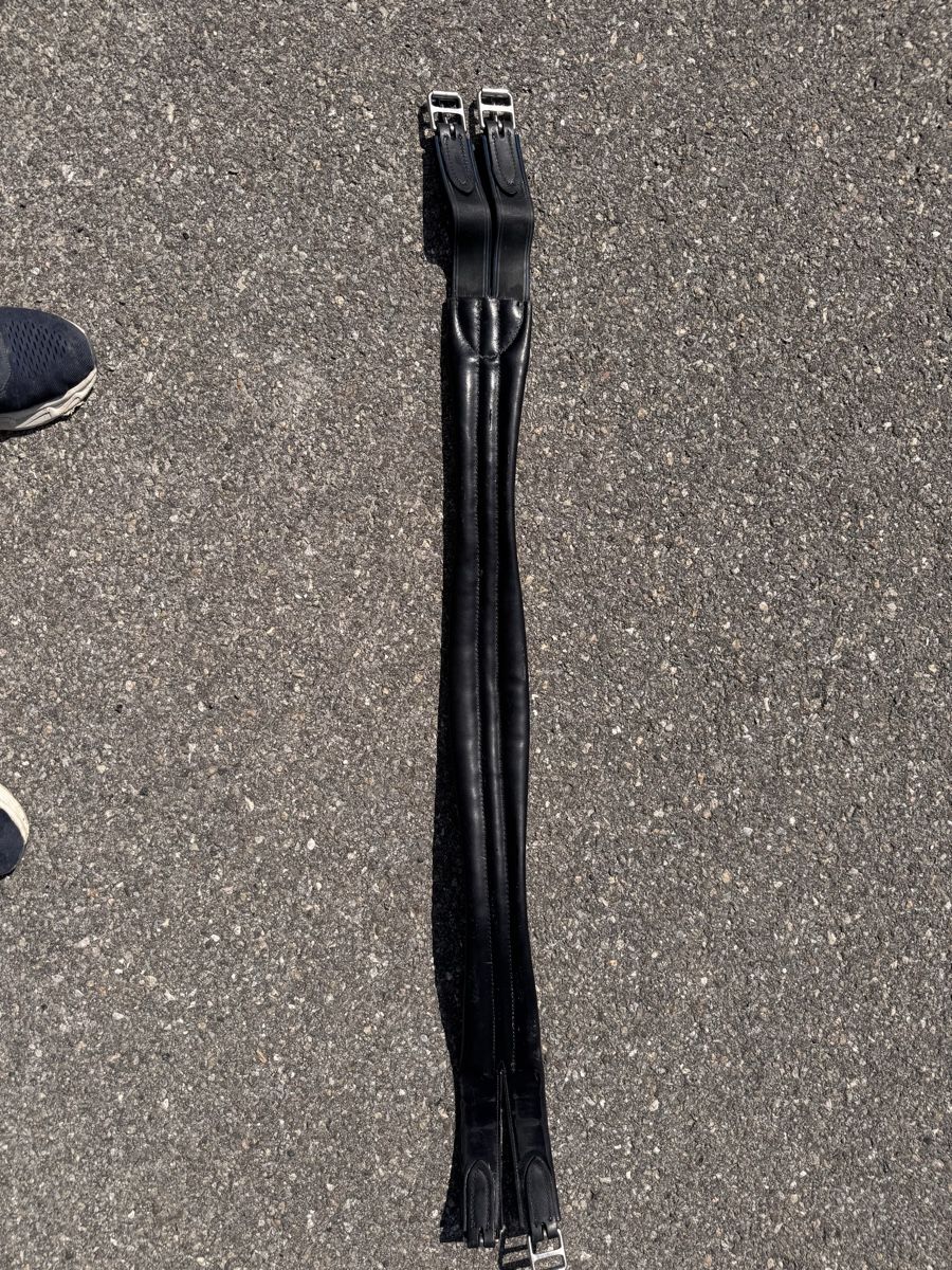 Selles, accessoires: Ledersattelgurt – D'occasion à Siselen BE par Mammut2577 1