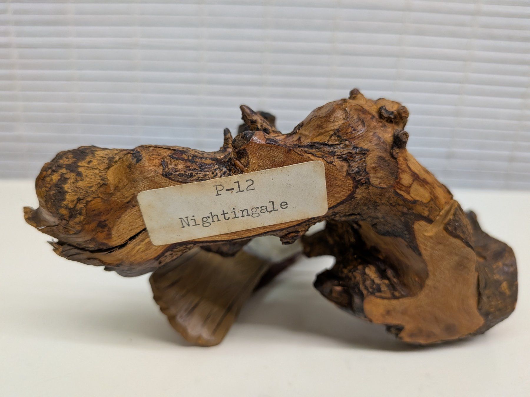 Skulpturen & Statuen: Holzvogel – Gebraucht aus Emmen von Brockofsky 4