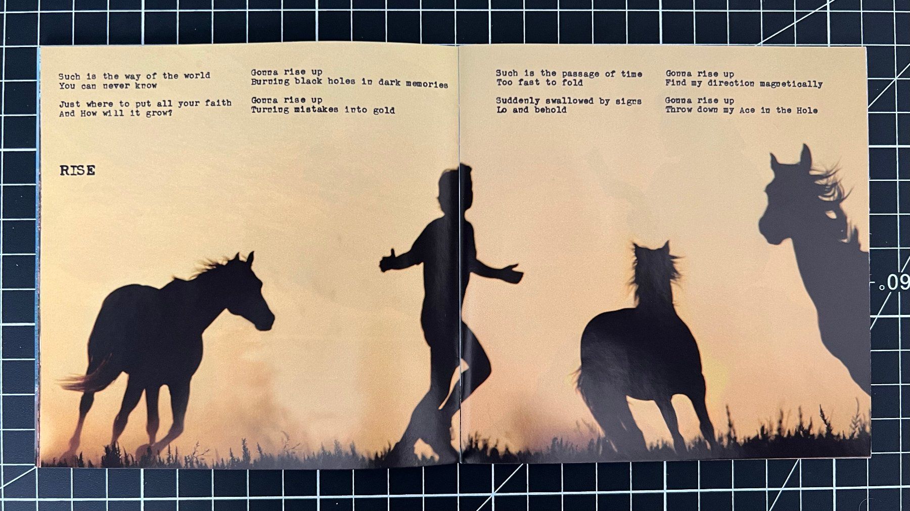 CD: CD Eddie Vedder - Into the Wild – Usato da Ostermundigen venduto da iFonso 7