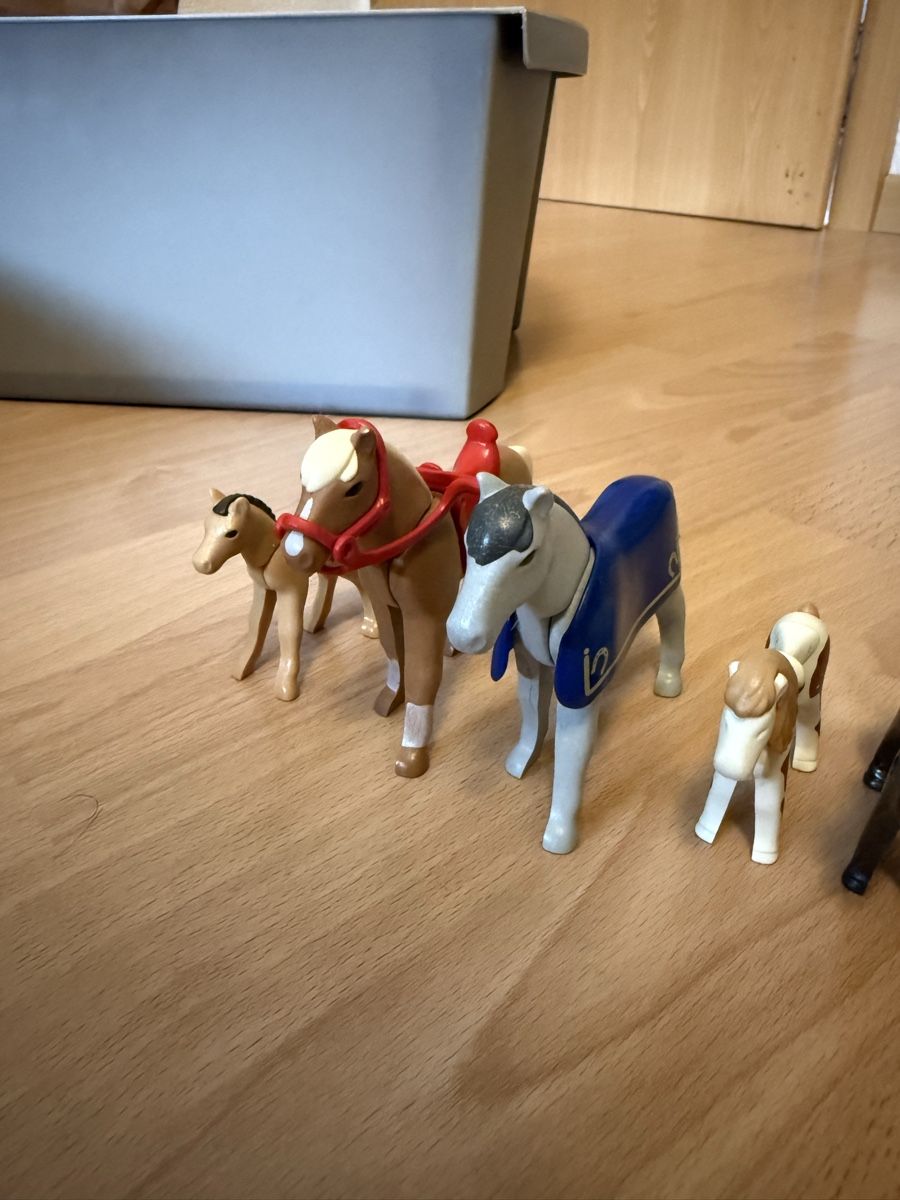 Playmobil Jouets: Chevaux Playmobil – D'occasion à Courfaivre par Lo_noi