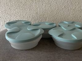 Tupperware Dosen 240 ml, 5er-Set - NEU