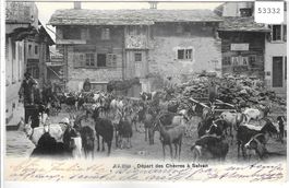 Depart des Chevres a Salvan - Ziegen