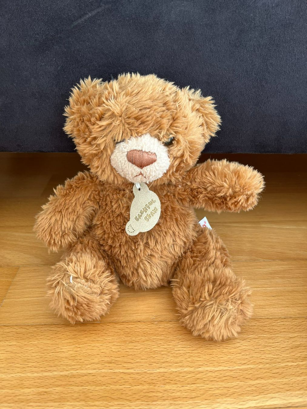 Giocattoli: Teddybären-Plüsch-Set – Usato da Muttenz venduto da Juvenile33 7