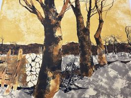 Jean Claude Bourgeois    LITHOGRAPHIE SIGNIERTF NUMMERIERT