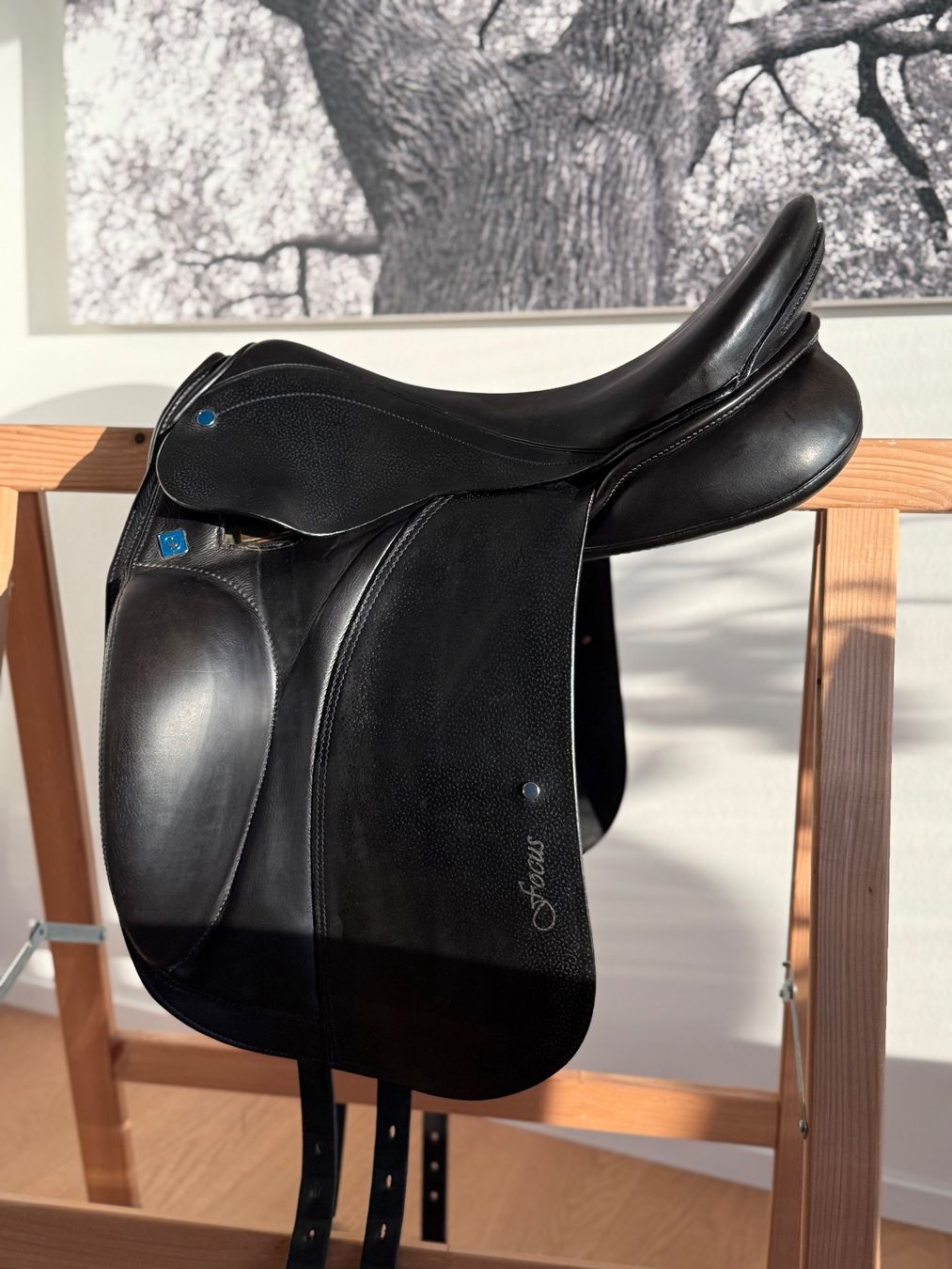 Selle & Accessori: Stübben Islandsattel BH Focus – Usato da Männedorf venduto da Rss 1