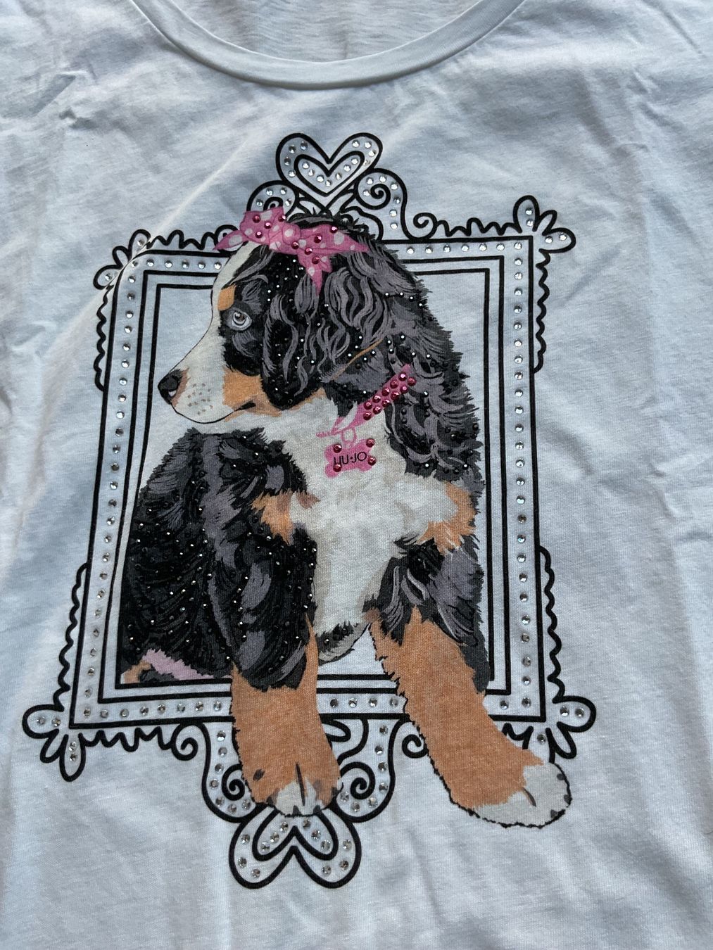 Liu Jo T-shirt: Shirt Liu Jo S – Usato da Dielsdorf venduto da Jgent 1