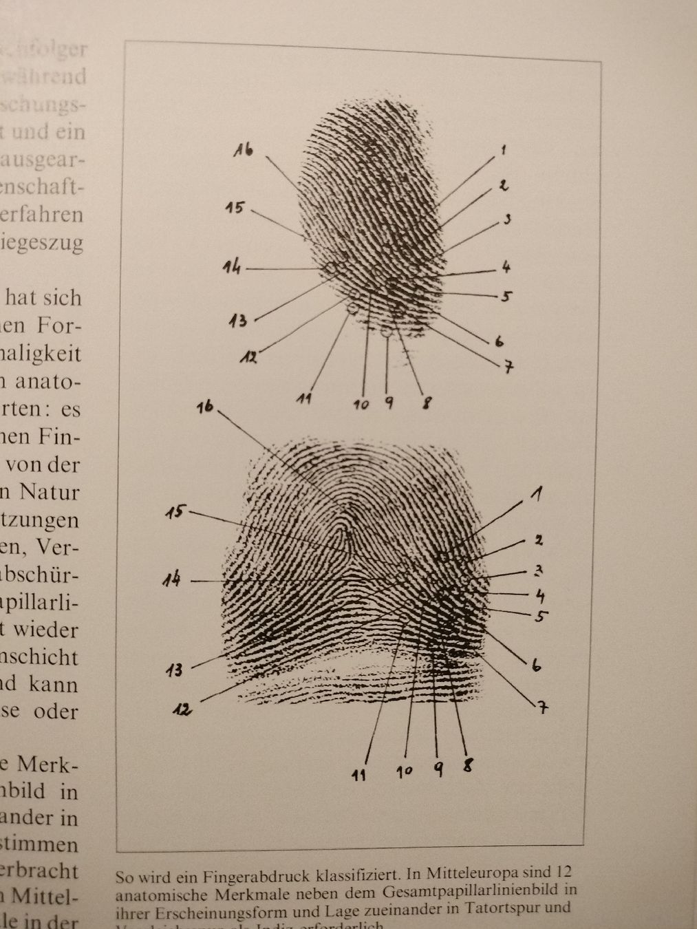 Libri: Altes Polizei Buch von 1976 – Usato da Schwanden Sigrisw venduto da cadieux71 6
