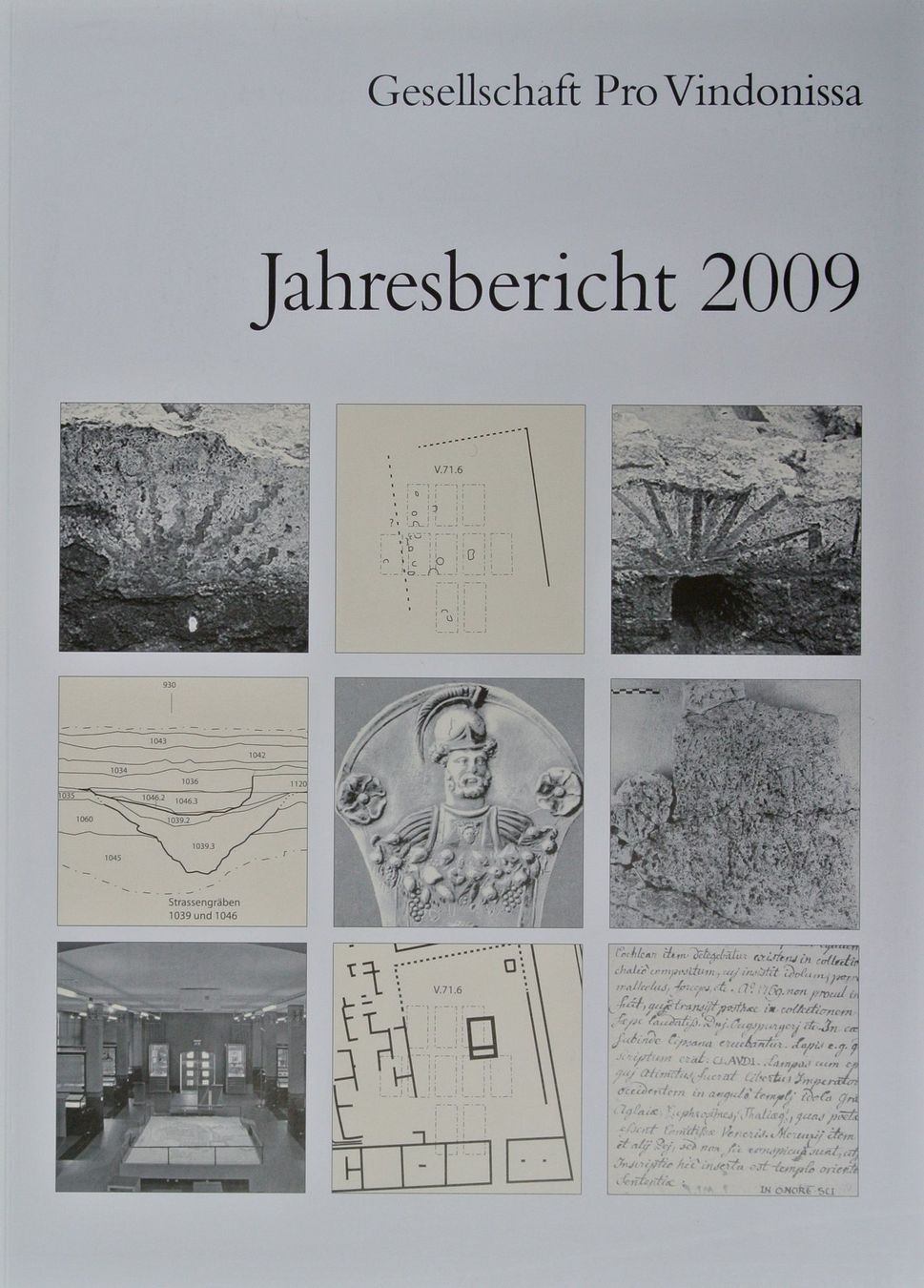 Libri: Gesellschaft Pro Vindonissa. Jahresbericht. 43 Hefte. – Usato da Erschwil venduto da taglang