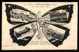 Schmetterling-AK Schwarzenbek, Genesungs
