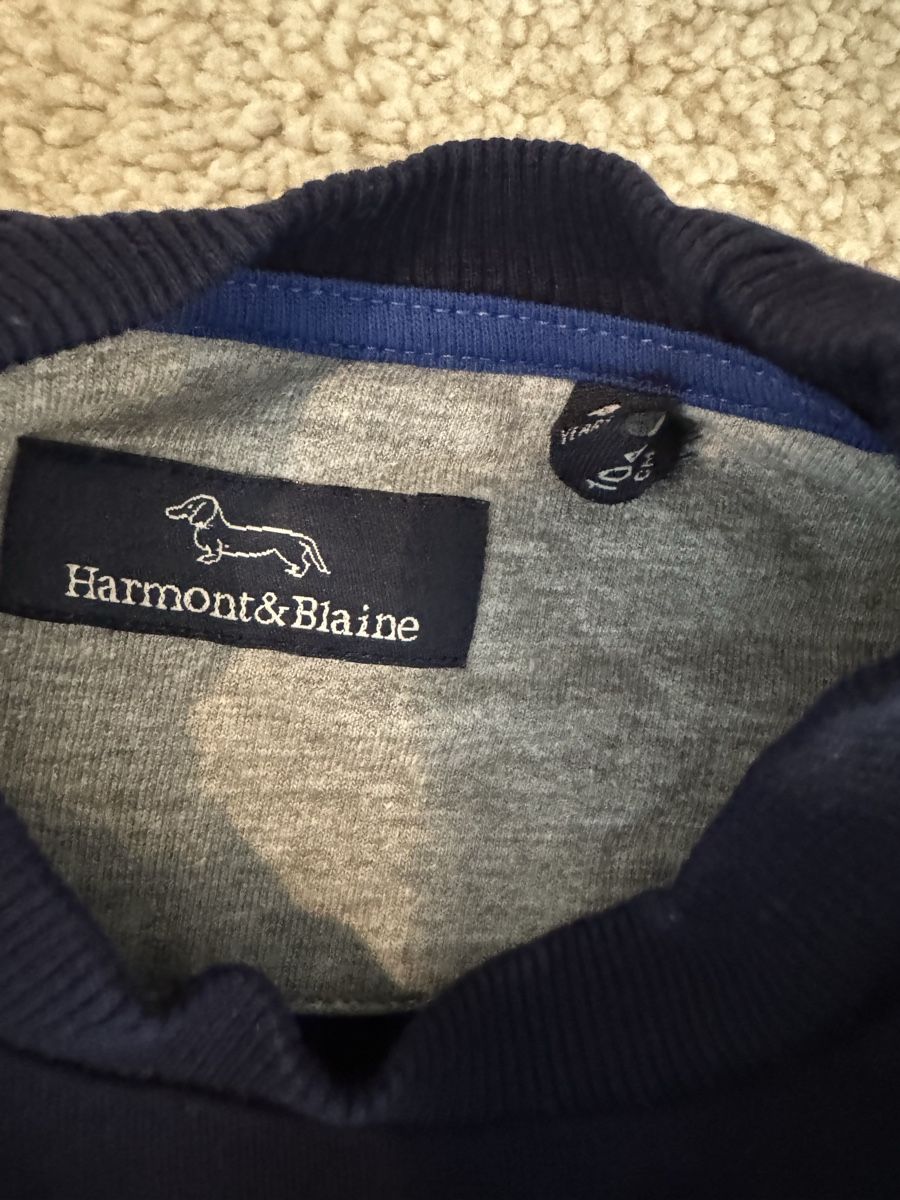 Maglioni & Felpe: Harmont&Blaine Pullover Gr. 104 mit Dackel, neuwertig! – Usato da Küsnacht ZH venduto da ToddyGinger 3