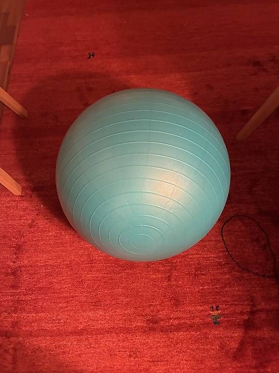 Palloni: Ballon de gym – Usato da Nyon venduto da Sotara