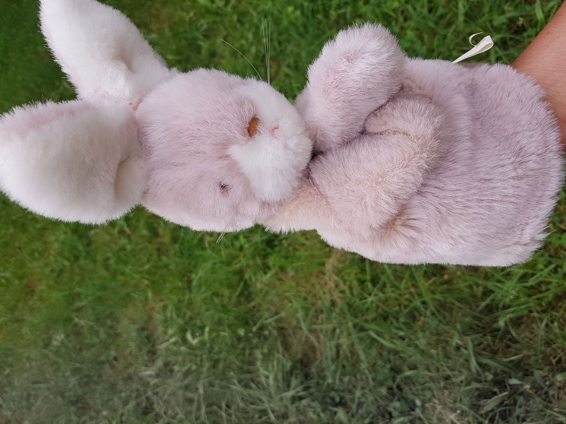 Bambole: Handpuppe Hase / NEU – Nuovo e nell'imballaggio originale da Dürrenäsch venduto da Didaedi 1