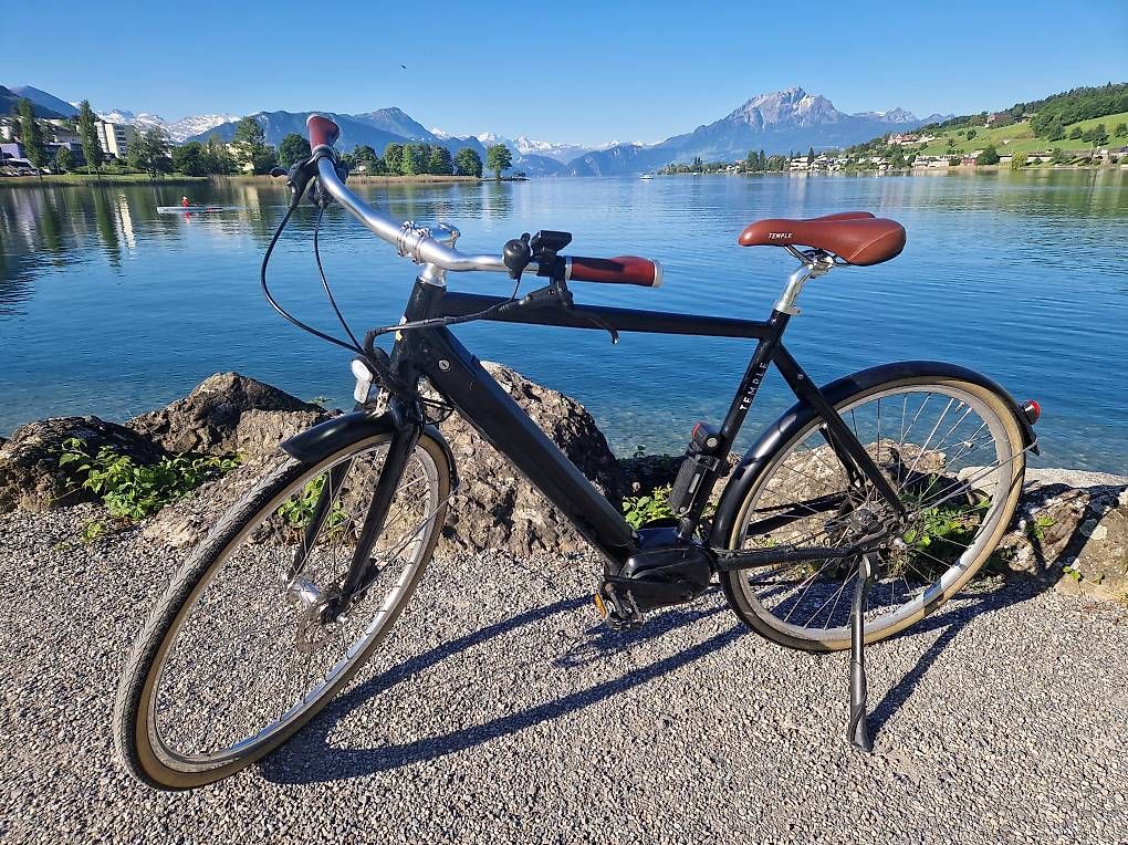 Vélos: Temple Electric Classic E-Bike – D'occasion à Meggen par sandra2710 1