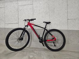 Mountainbike, Hardtail, Top Zustand, Rahmen 19", Räder 29"