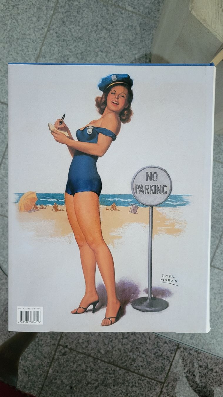 Libri: The Great American Pin-Up Buch  – Usato da Horgenberg venduto da Klatschmohnmaria 1