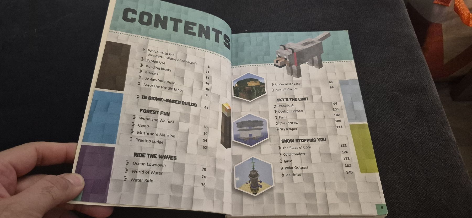 Libri: ULTIMATE MINECRAFT MASTER BUILDER GUIDE VIDEO GAMES ENGLISH  – Usato da Grand-Lancy venduto da luc111 5