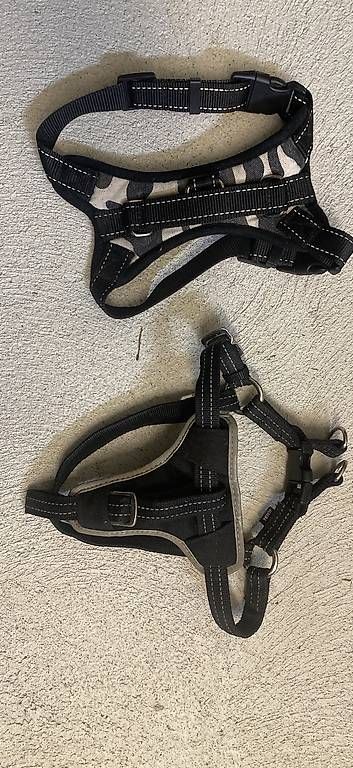 Guinzagli & Collari: Hundegeschier klein – Usato da Stein am Rhein venduto da kar_9lmg