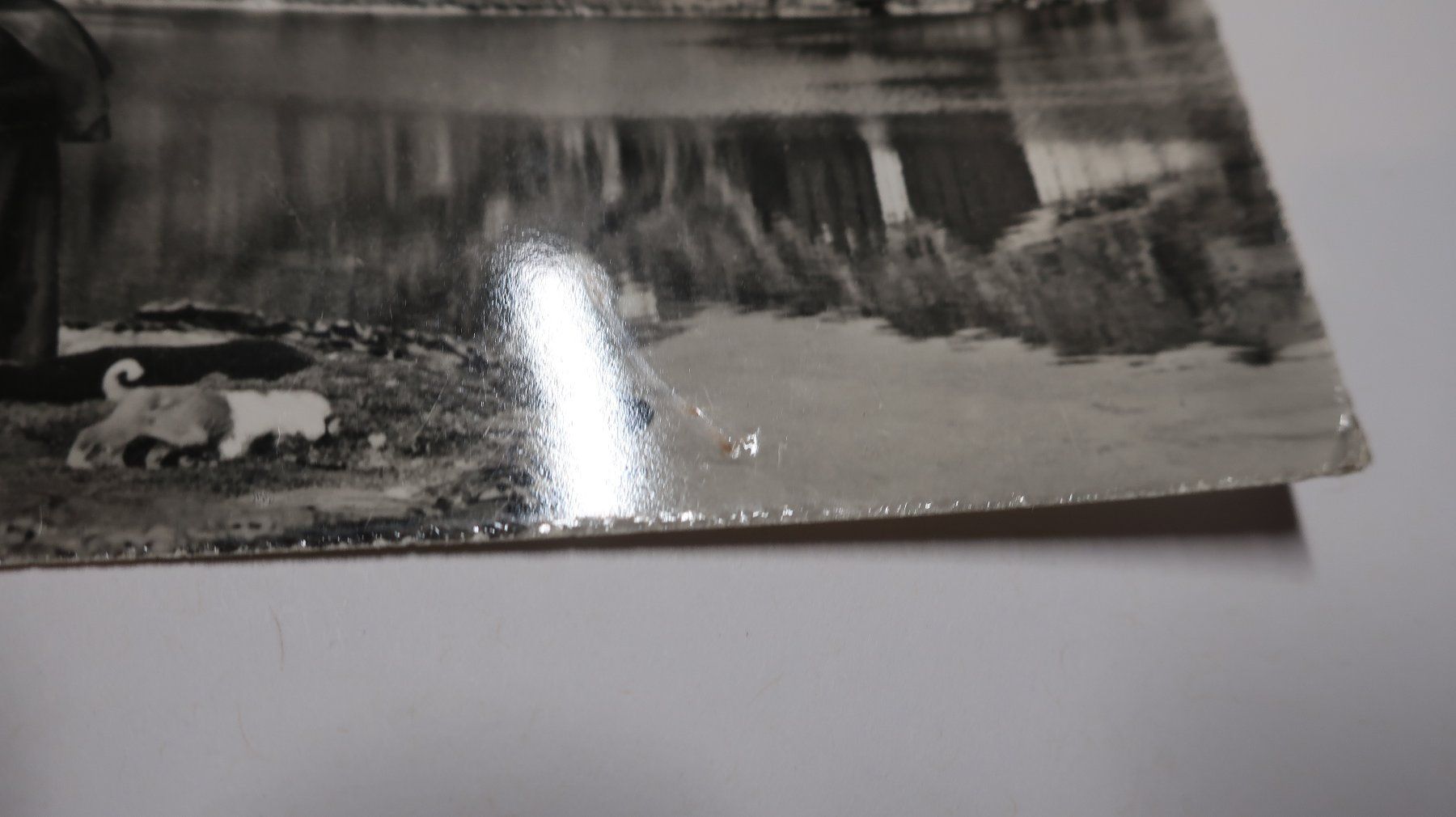 Cartoline postali: Grand St. Bernard 1958 – Usato da Cormoret venduto da Pascalll2001 3