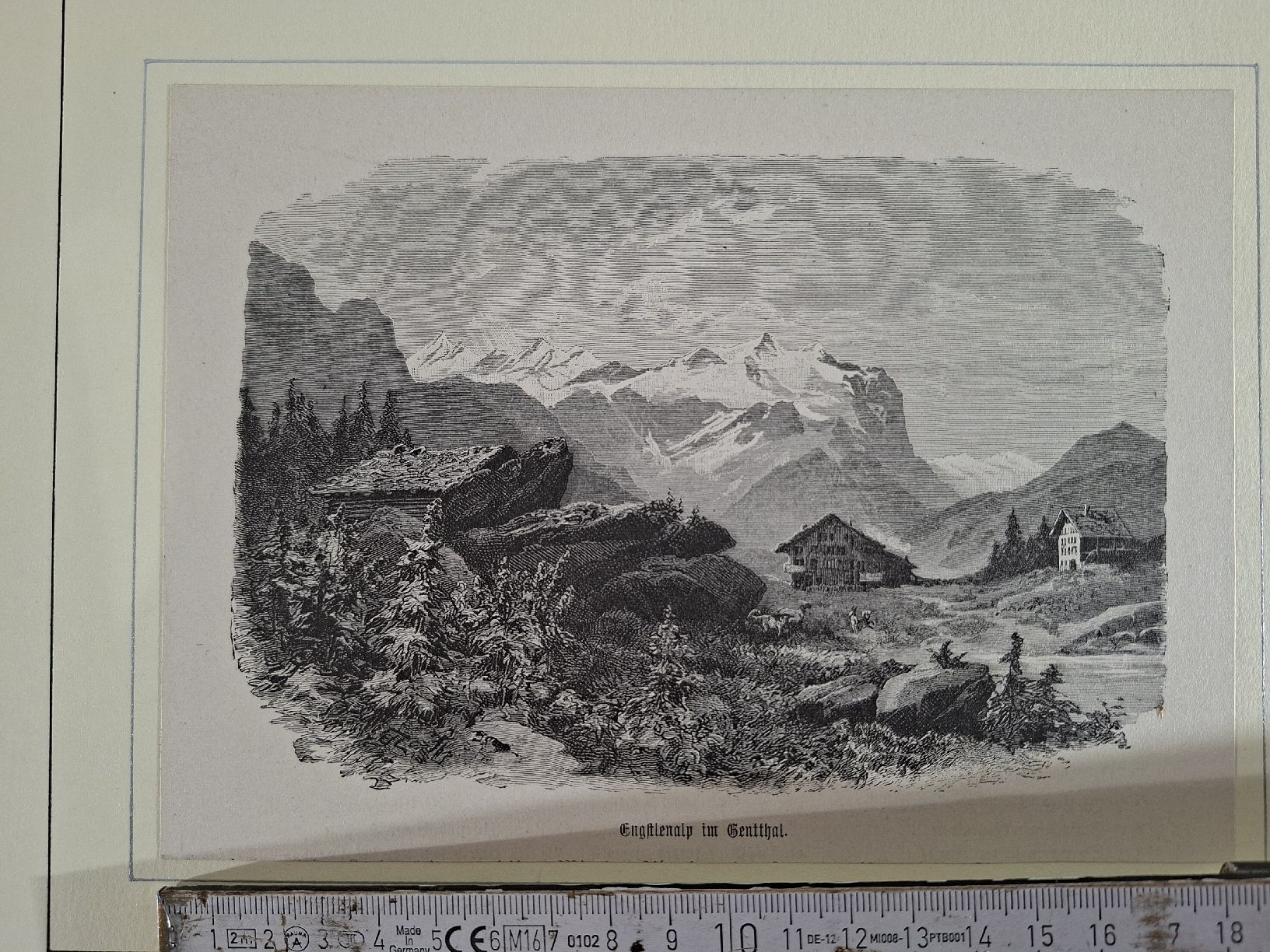 Incisioni: Lot 29 , 5 Stiche  – Usato da Grindelwald venduto da carro5 1